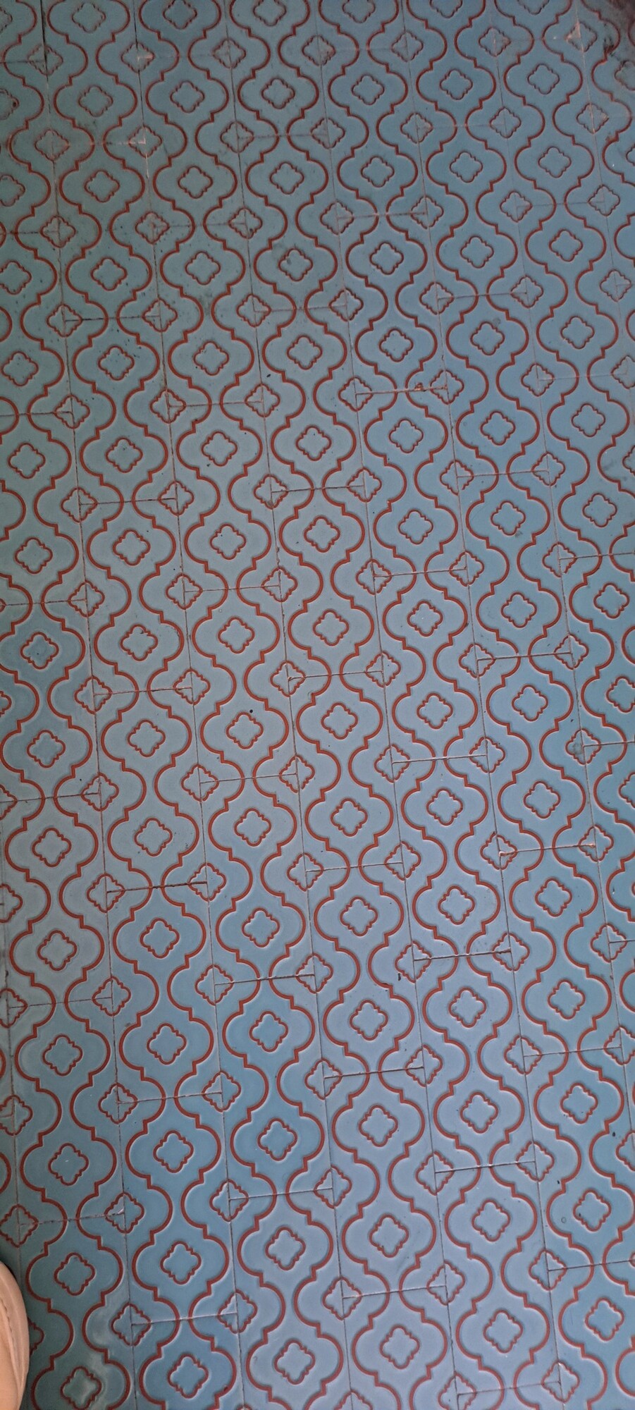 0056027-20260609_165022.jpg