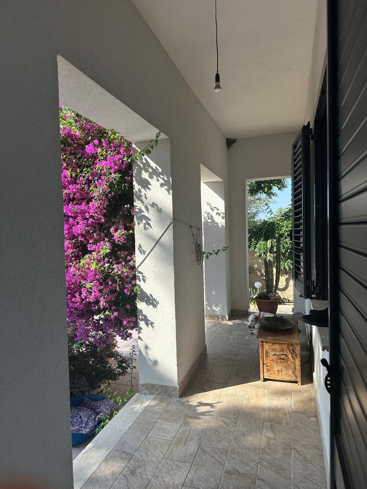 Patio esterno