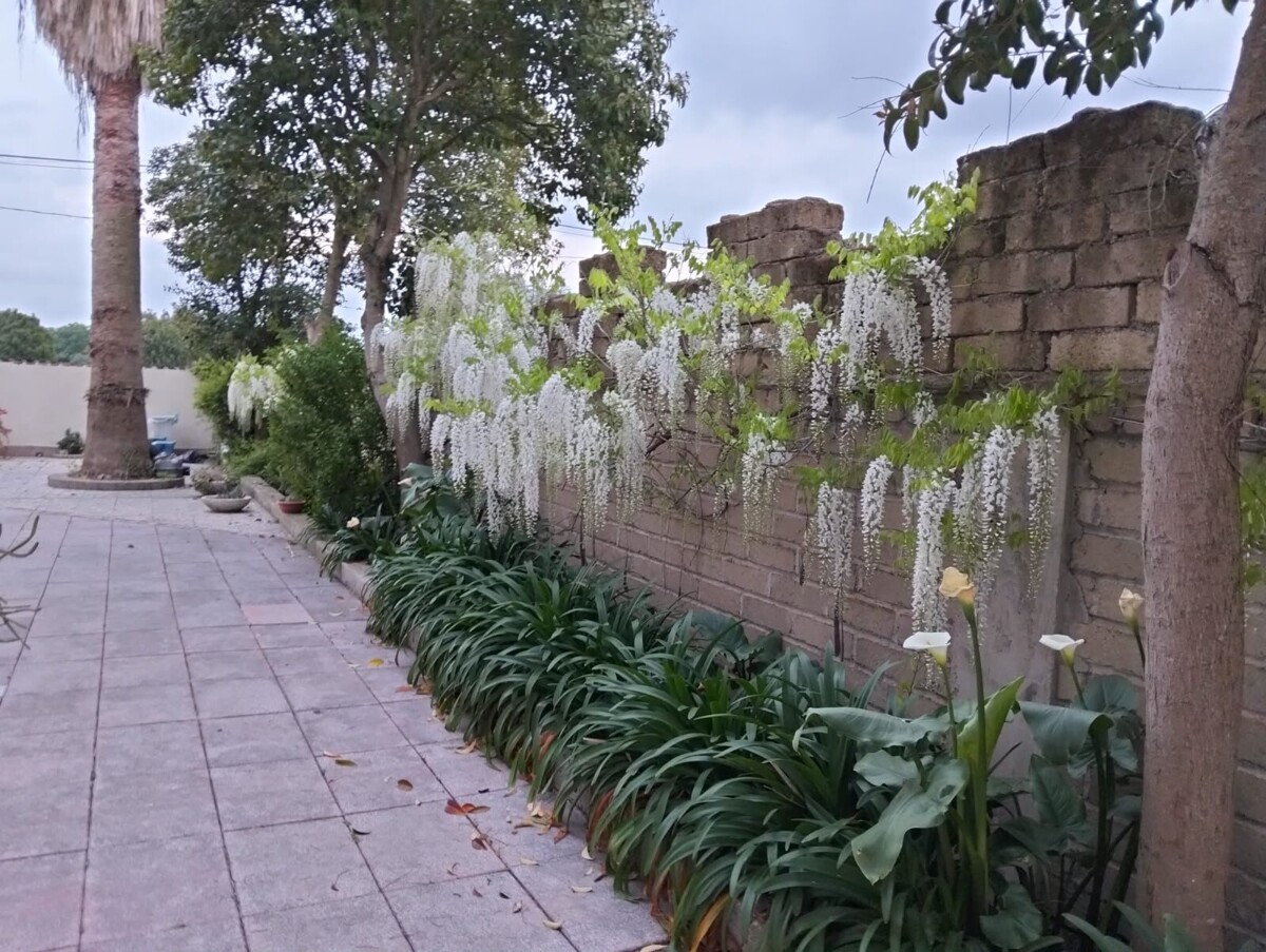 Ampia zona esterna