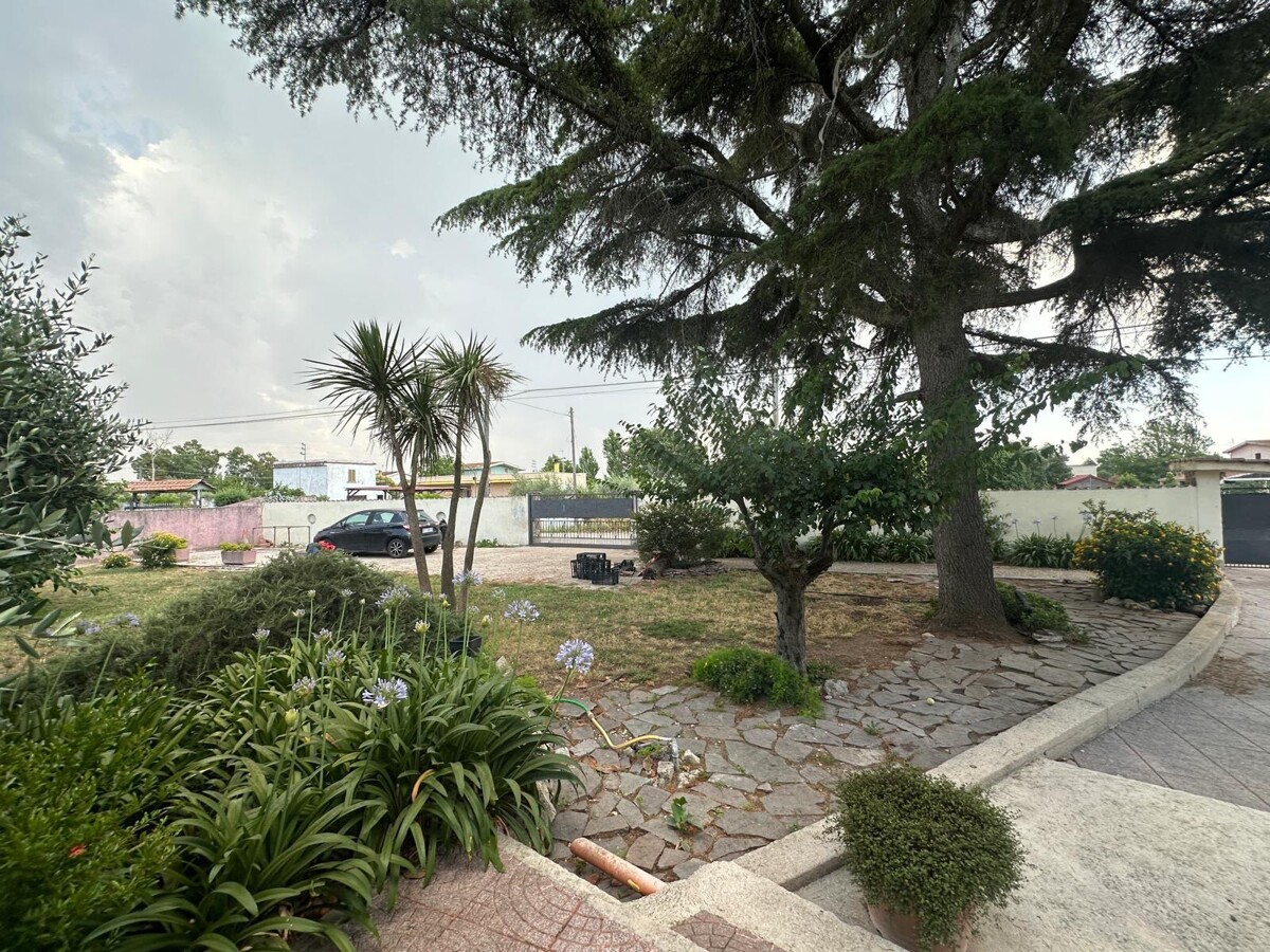 Dettagli giardino