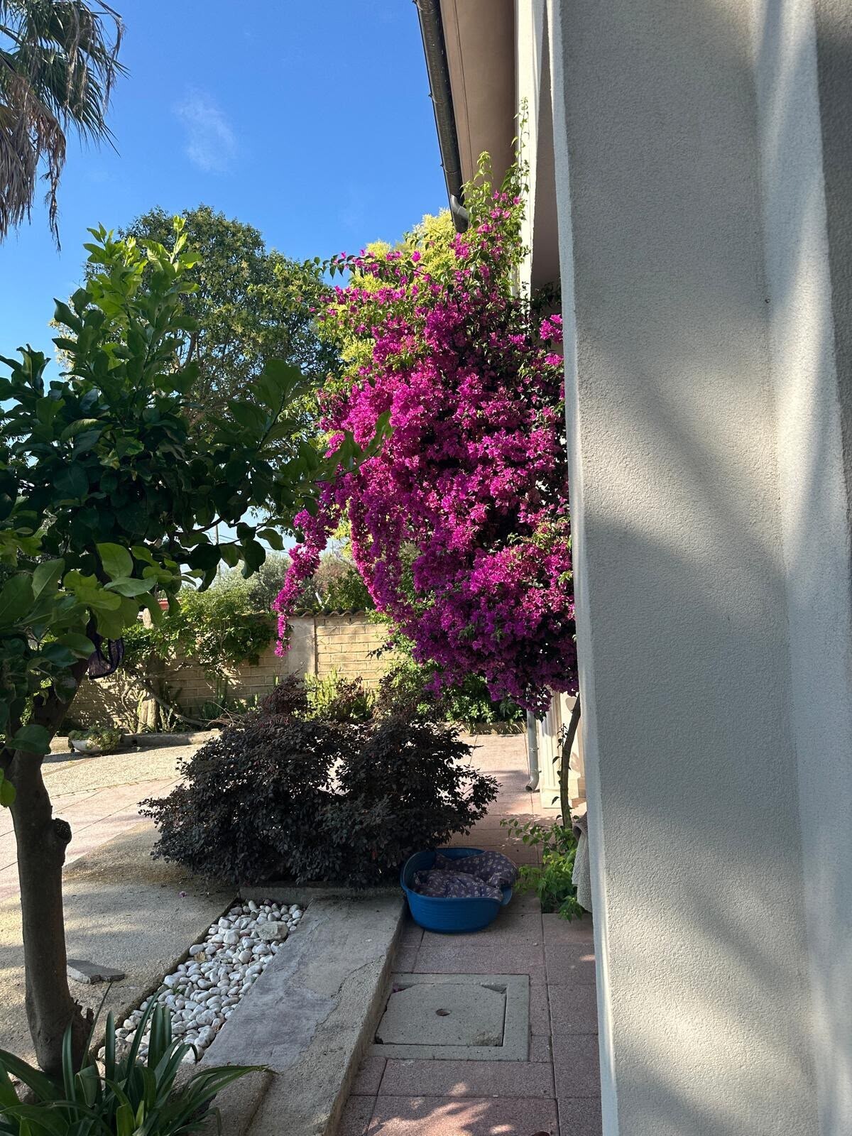 Giardino privato