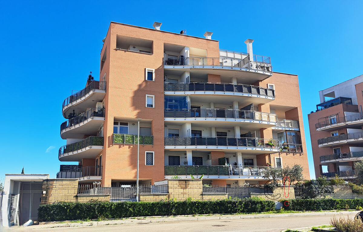 0055380-20260111_125306-1.jpg