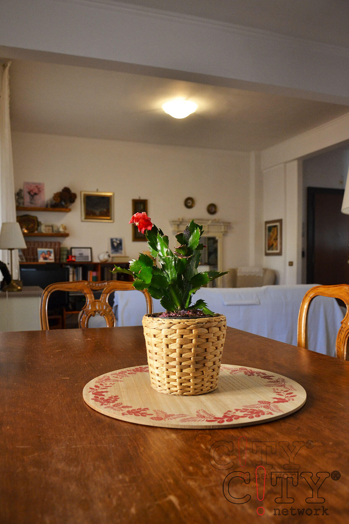 Soggiorno-pranzo