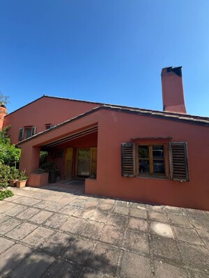 photo_5861477229496748354_y