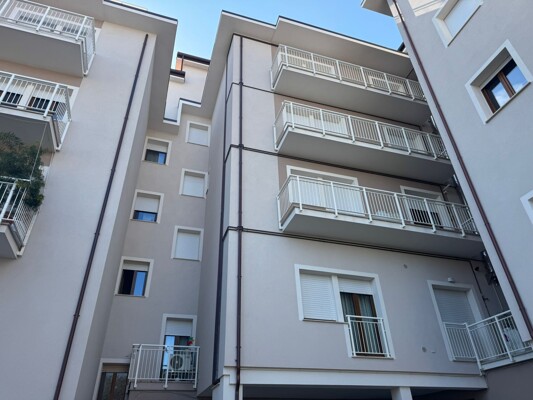 WhatsApp Image 2026-03-20 at 17.13.39