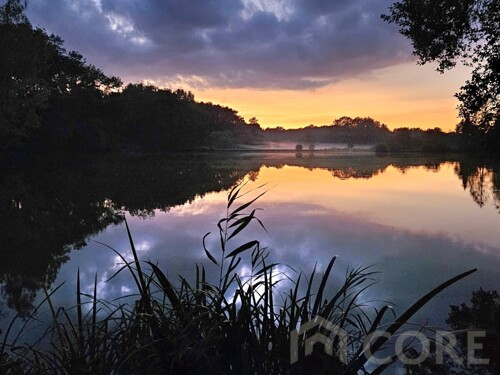 Teich