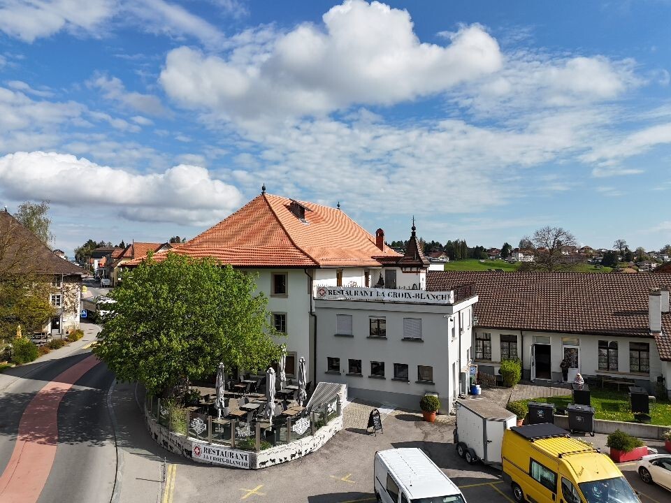vue 1