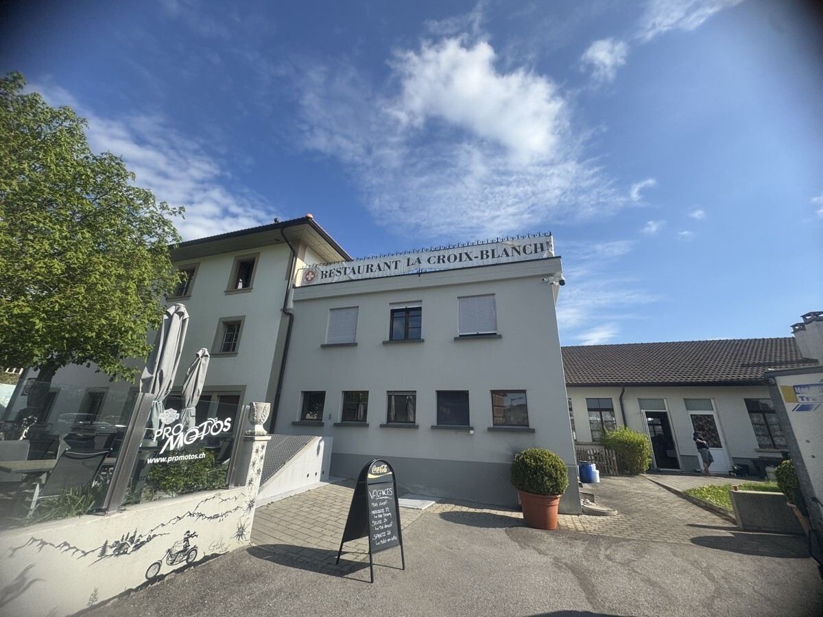 IMG_5579