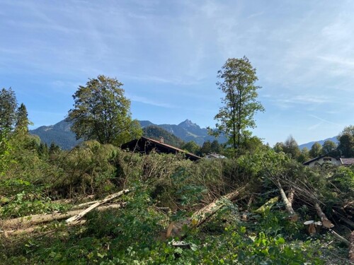 Ausblick vom Grundstück