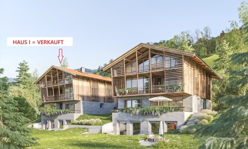 Hausansicht Visualisierung