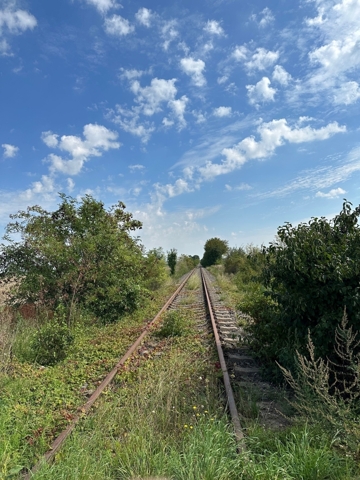 6806_Strecke in der Gemarkung Großgräfendorf bei km 16,35_230822