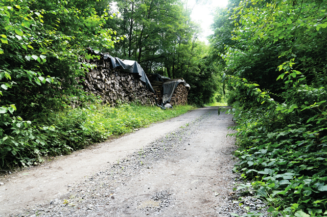 Möckmühl, Grundstück BA (2) Kopie