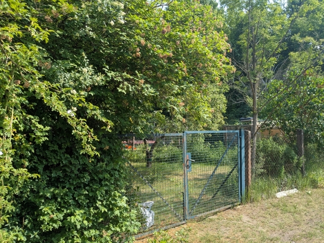 PXL_20250604_083600436