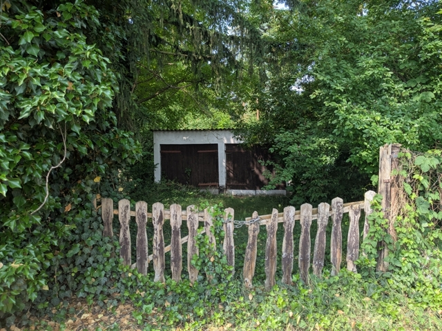 PXL_20250604_082225969