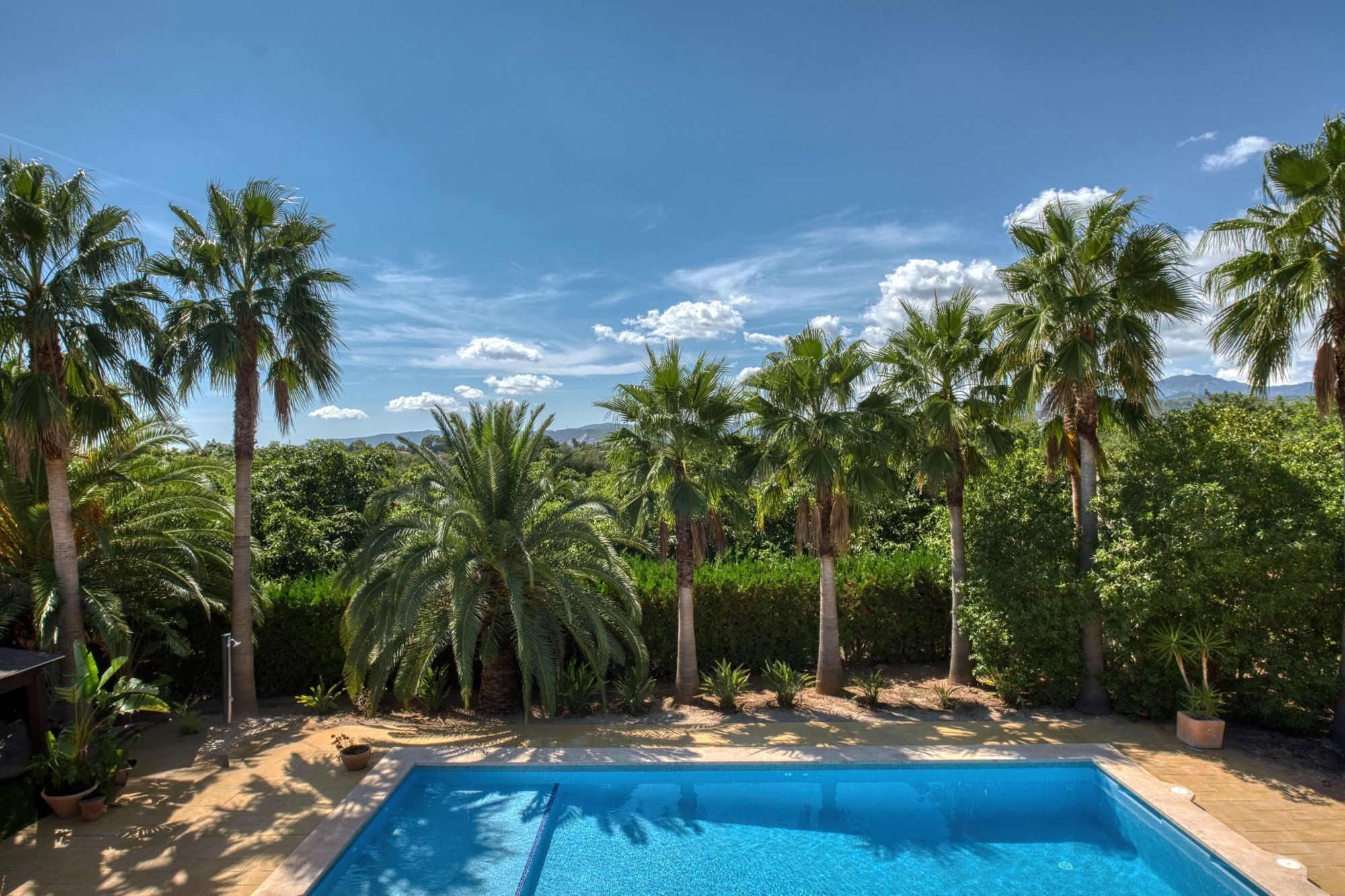 Tropische Garten