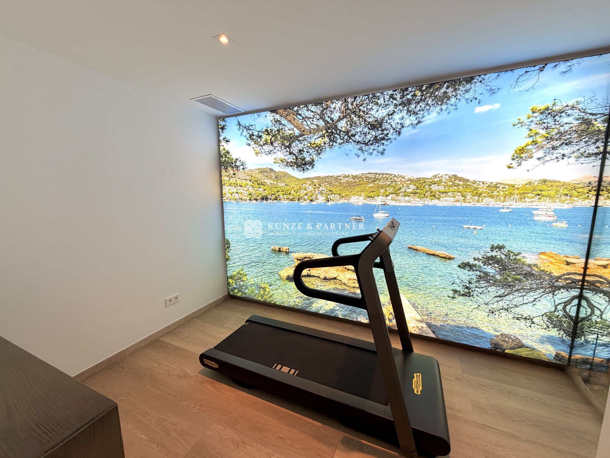 Abstellraum (ca. 10 m²) mit TechnoGym-Laufband