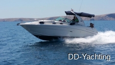 1 Sea Ray 335 Ohle
