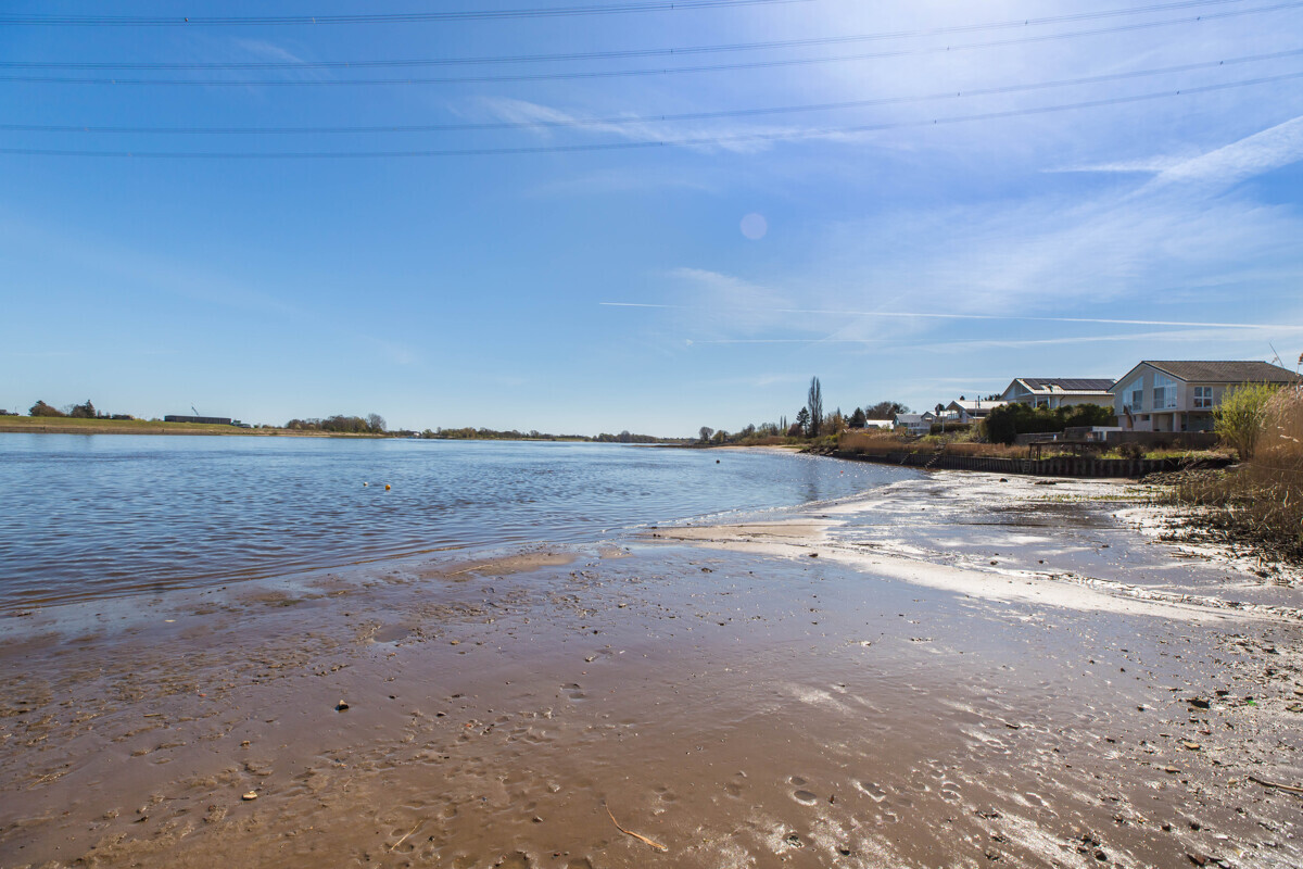 Elbe fußläufig erreichbar