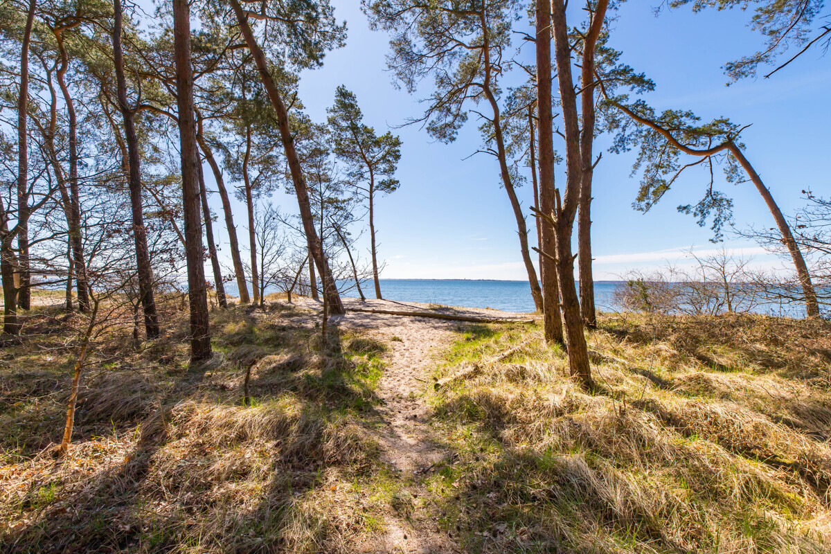 Losentitz - naheliegender Strand