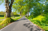 Alleestraße nach Losentitz