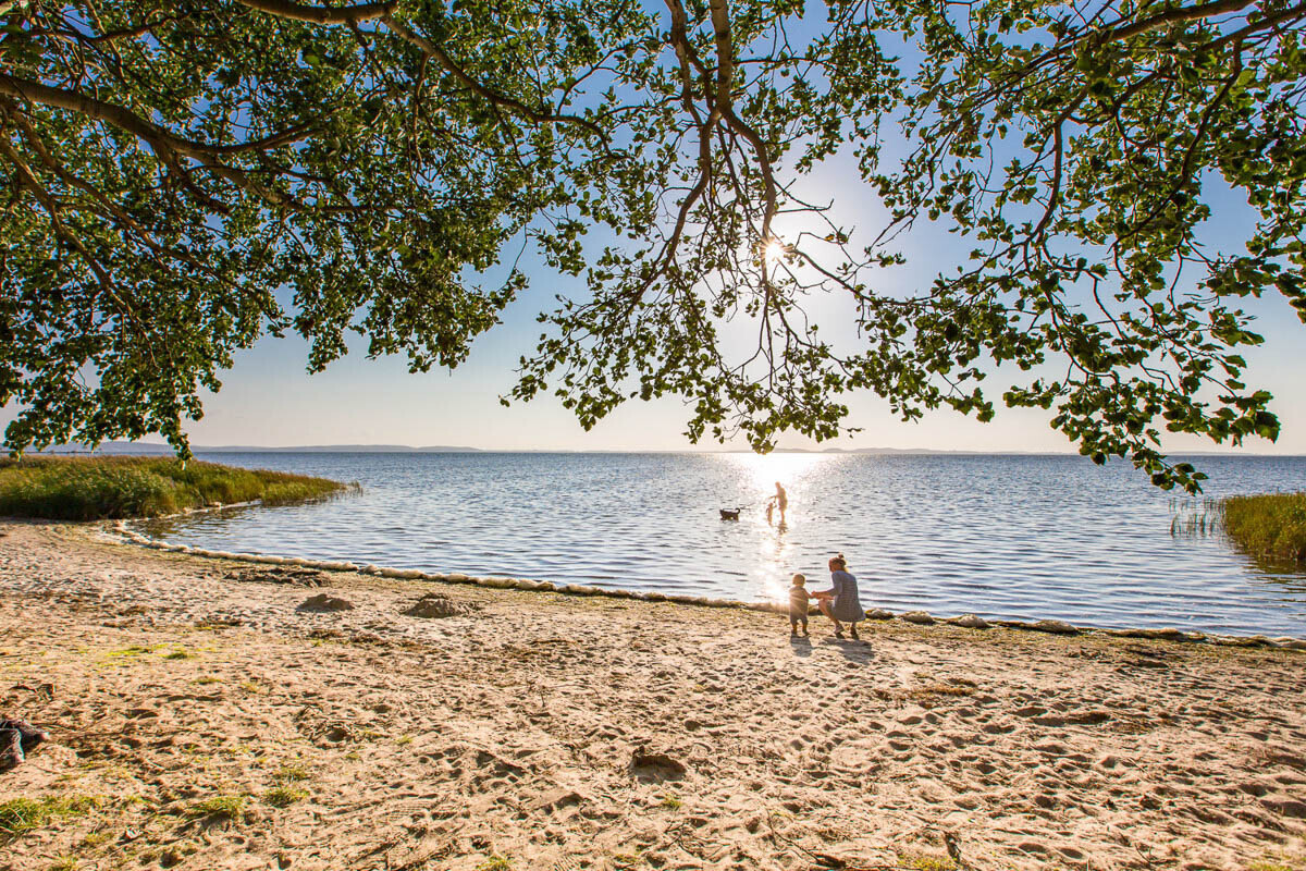 Umgebung von Sagard (Neuhof)
