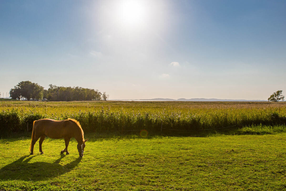 Umgebung von Sagard (Polchow)