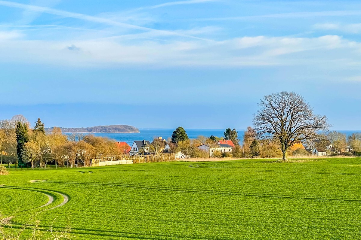 Ausblick (vergrößert)