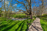 Brunnenaue in Sagard