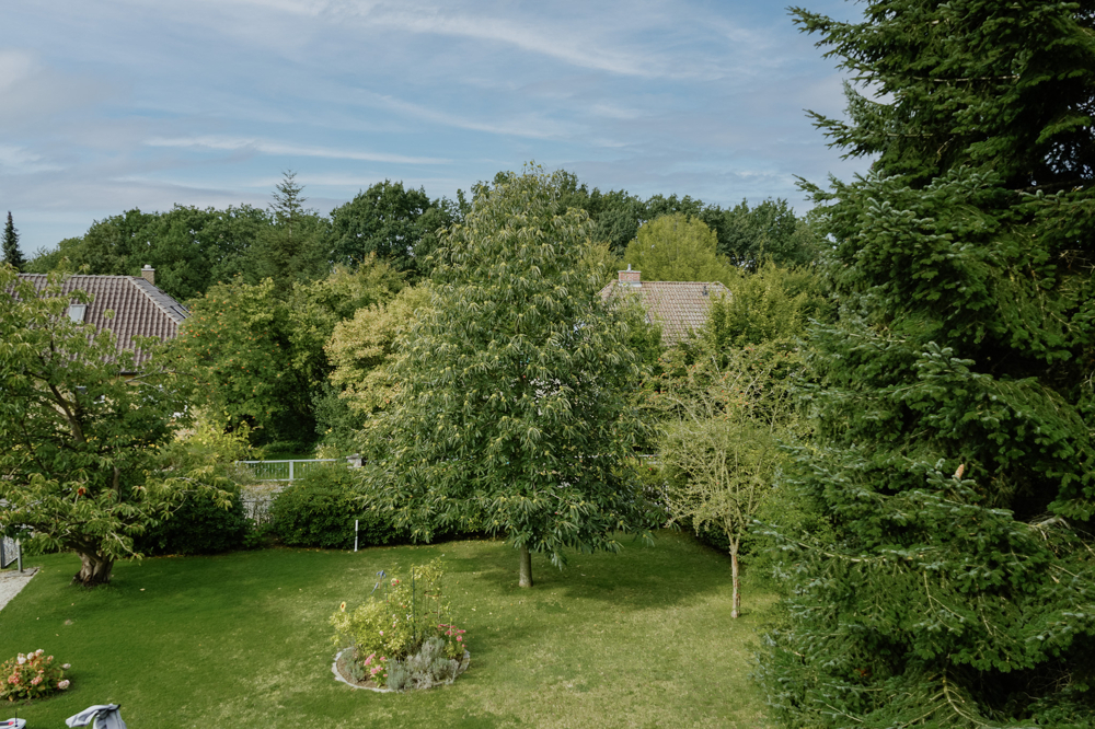 Blick in den Garten