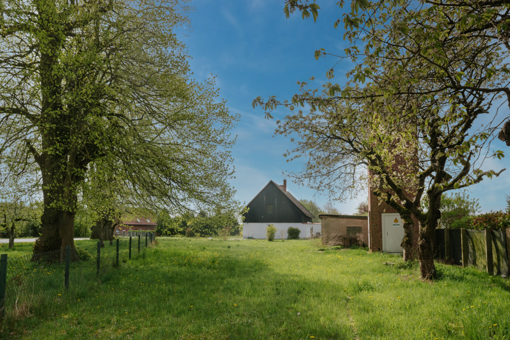 Garten II