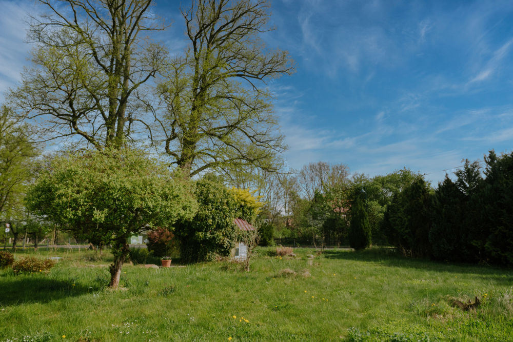 Garten IIIII