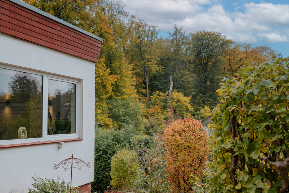 Blick aus dem Garten