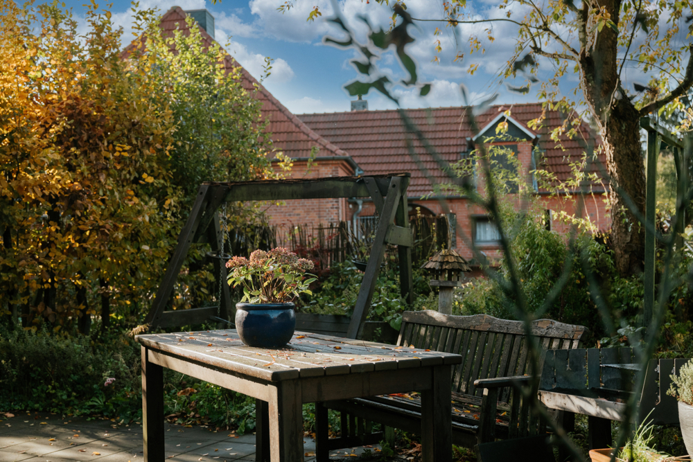 Terrasse II