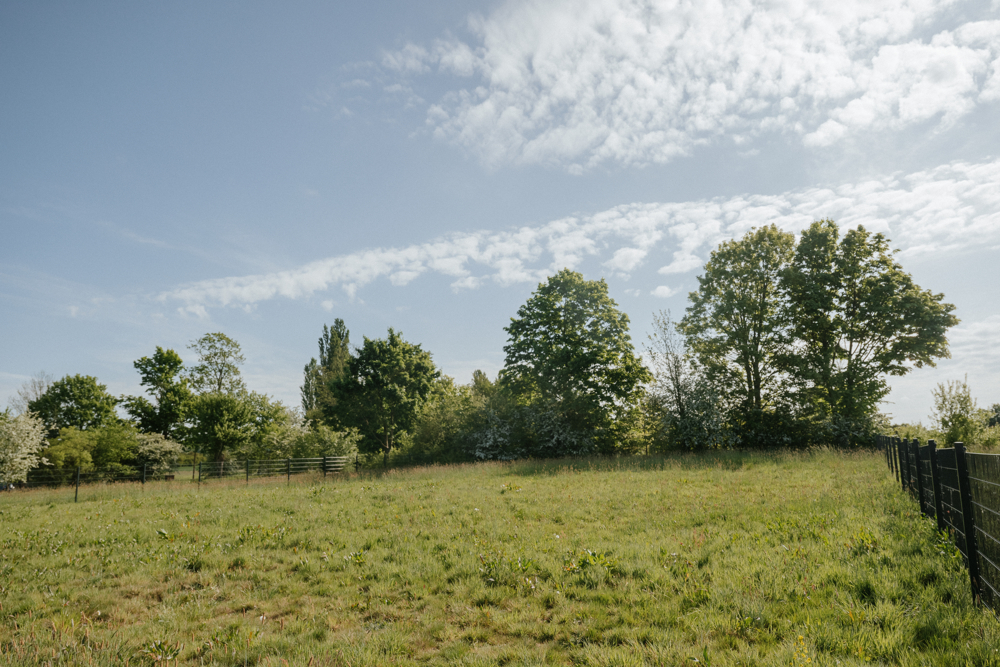 Ansicht 1