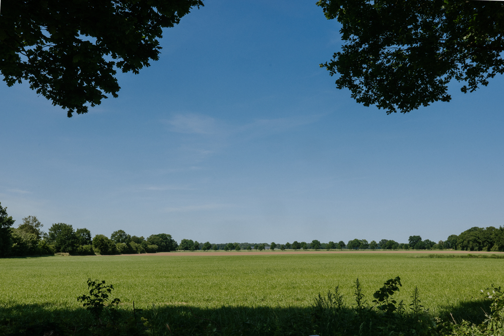 Ausblick