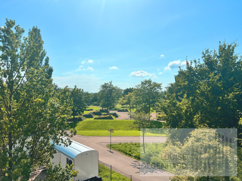 Volkspark Potsdam