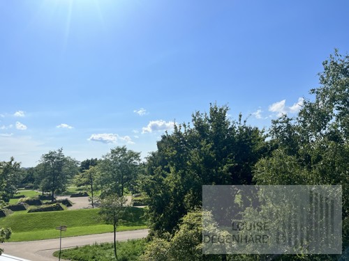 direkt angrenzender Volkspark Potsdam