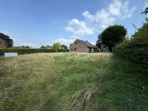 Blick auf das Baugrundstück