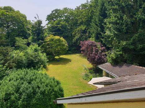 Blick in das Grundstück