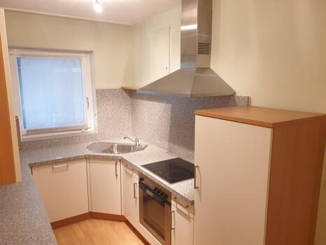 Teilansicht Küche (1)