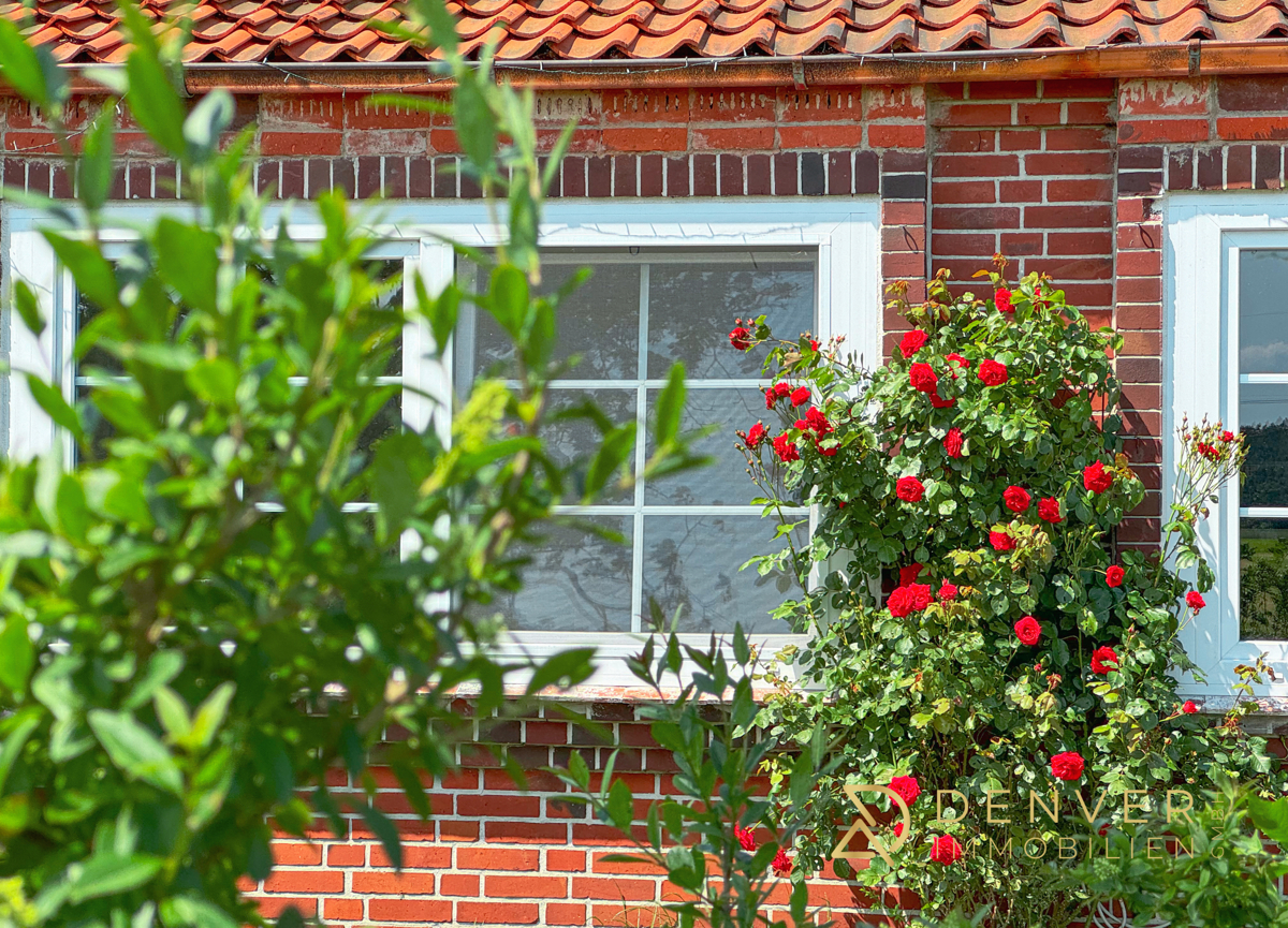Neue Fenster im ganzen Haus