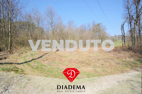 Timbro_Trattativa-2 (1)