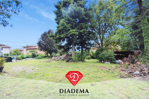 Timbro_Prima Foto terreno