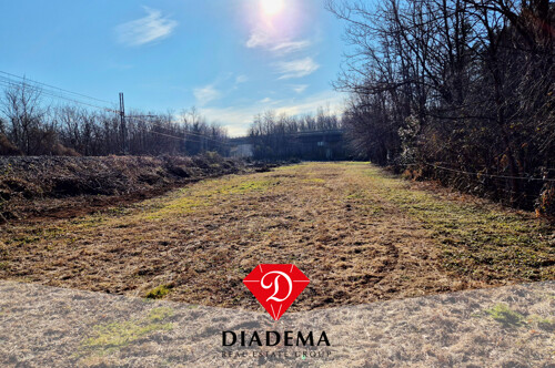 Timbro_Prima Foto-5 (2)