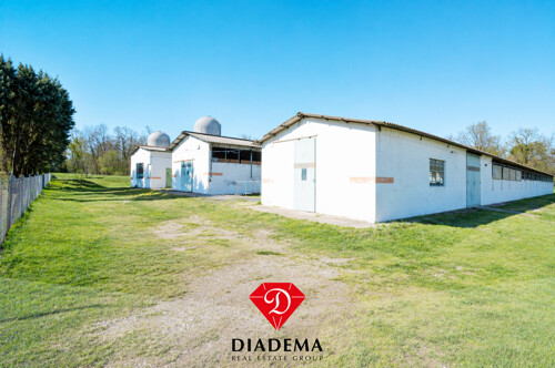 PRIMA FOTO AZIENDA