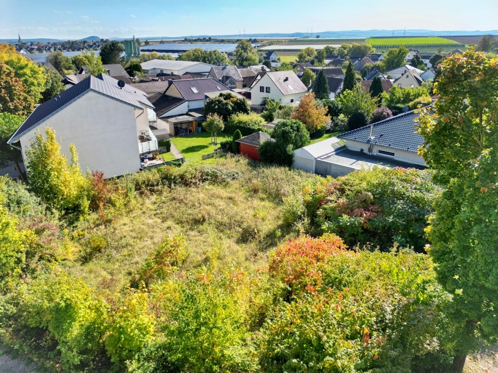 Blick auf das Grundstück