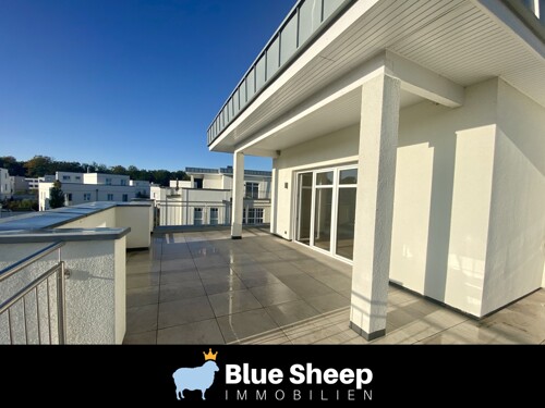 7b5ab8ff-1d72-48d3-92ed-d98fd5006e69