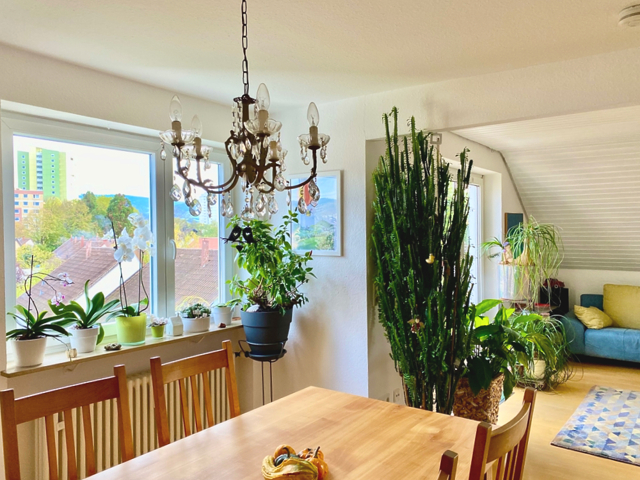 Offener Wohn-Essbereich