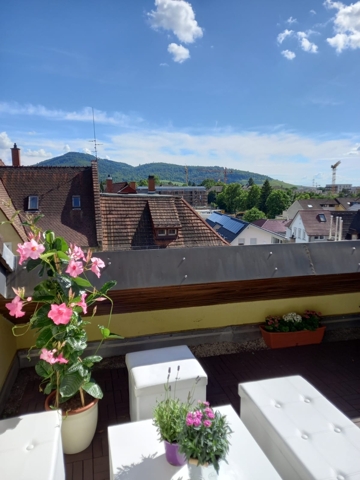 Aussicht auf den Schönberg