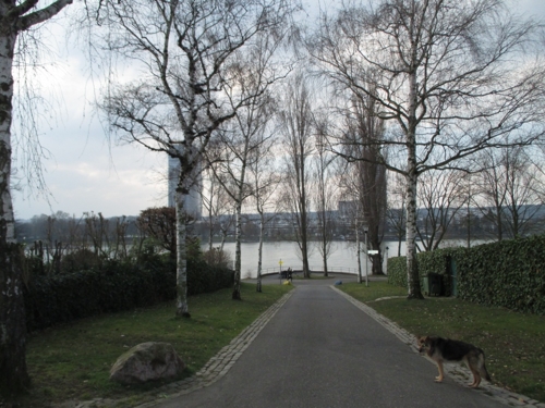 Rheinpromenade vor der Tür